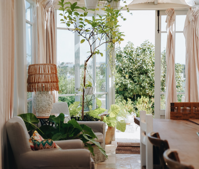 A sunny conservatory full of plants with a nice view to the outside