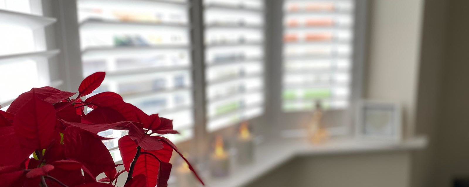 interior shutters